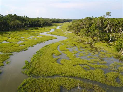 Our mission - Sapelo Island Birdhouses 912-223-6515 annitast@me.com