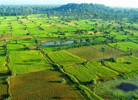 Aquatics Cambodia: Cambodia - the Kingdom of Wonder!