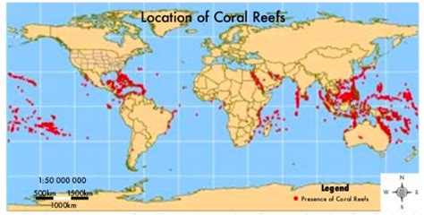 Endangered reefs - How to help