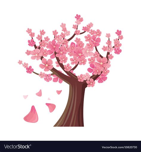 Sakura tree isolated cherry blossom Royalty Free Vector