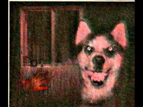 Smiley Dog Horror