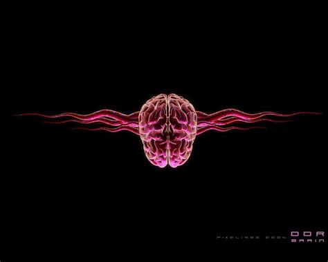 Artistic, Brain, Anatomy, HD wallpaper | Peakpx