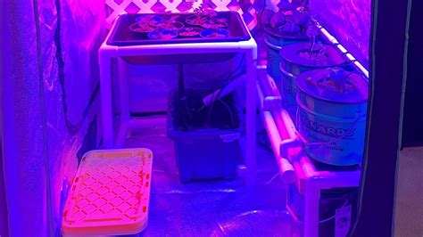 Everything You Need For A Hydroponic Grow Tent Setup - NoSoilSolutions