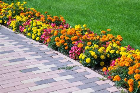 border long narrow garden bed ideas - Google Search | Sidewalk ...