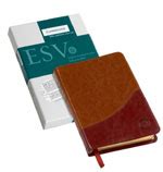 ESV Cambridge Pitt Minion Reference Bible Tan/Burgundy Two-Tone ...