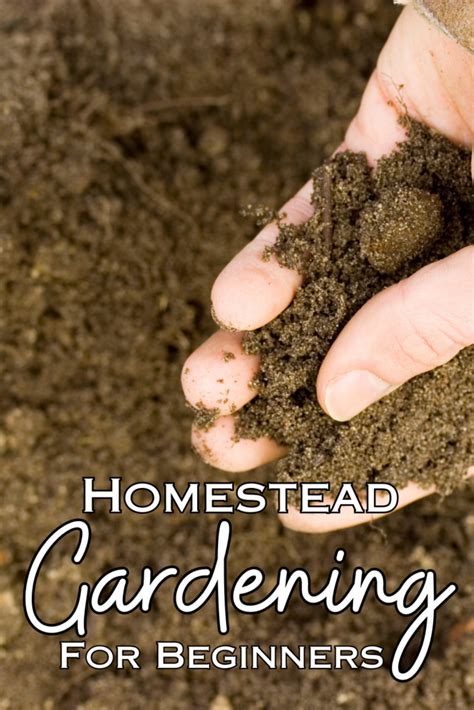 Homestead Gardening for Beginners - How to Garden