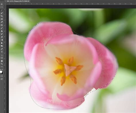 How to Use the Photoshop Lasso Tool - Pretty Presets for Lightroom