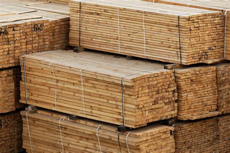 York Group returns to profitability - Timber iQ online