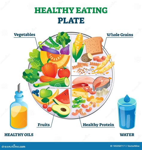 Healthy Plate Food Stock Illustrations – 159,235 Healthy Plate Food ...