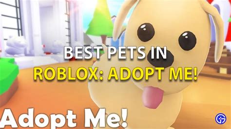 Best Pets In Roblox Adopt Me: Unicorn, Peacock & More