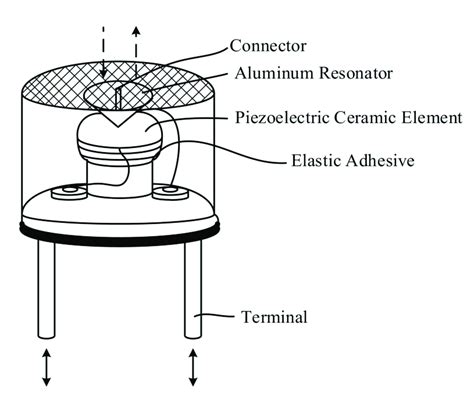 Schematic of an ultrasonic transducer. | Download Scientific Diagram