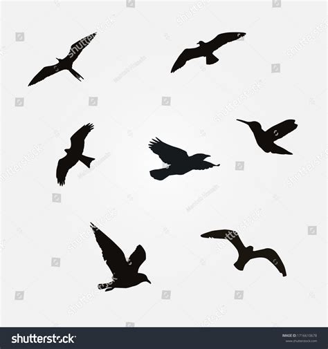 Flying Birds Silhouette Icon Vector Vector Stock Vector (Royalty Free ...