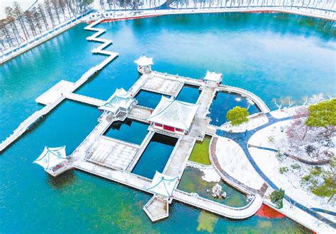 Scenery of snow-covered Wuhan East Lake scenic area | 极目新闻