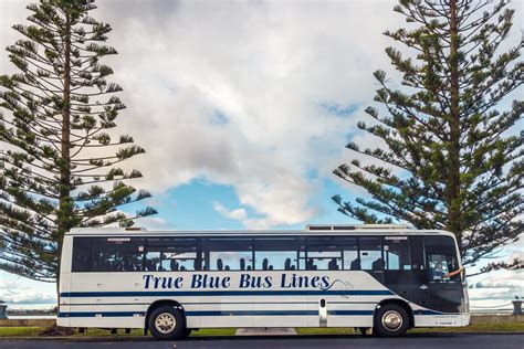 Tours — True Blue Bus Lines