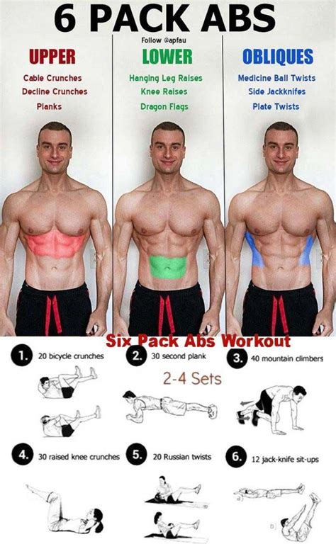 Six Pack Abs Workout #loseweightbeforeandafter | Abs workout for women, Abs workout gym, Abs workout