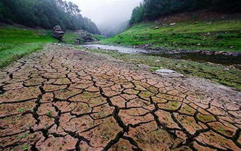 Groundwater depletion may reduce winter cropping intensity by 20% in India.