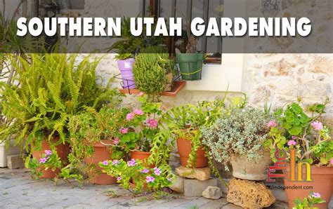 Southern Utah Gardening: Seven tips for container gardens