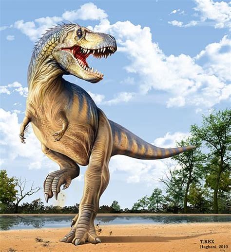 Tyrannosaurus rex. Art by Mohamad Haghani Prehistoric Wildlife ...