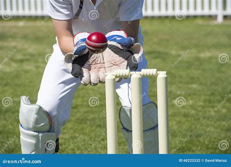 Cricket wicket keeper stock photo. Image of practicing - 60222532