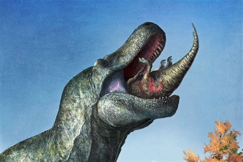 T rex’s ‘ferocious’ fangs were hidden by lizard-like lips, say scientists | The Independent