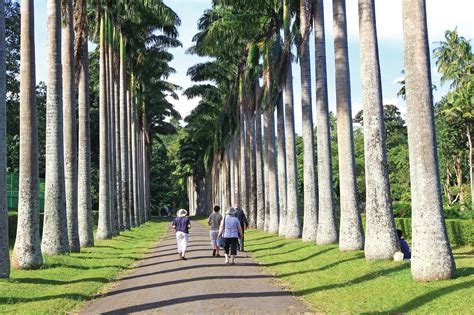 Royal Botanical Gardens Peradeniya | Things to do in Peradeniya, Kandy