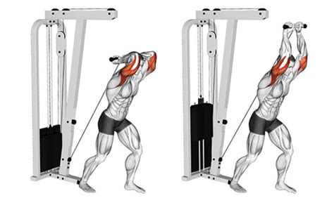 How To Do Overhead Cable Tricep Extension Properly