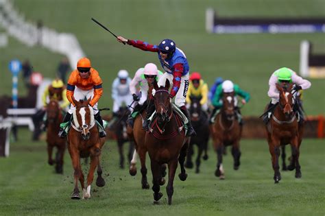 Paisley Park a 'special, special' horse - Horse Racing News and Tips