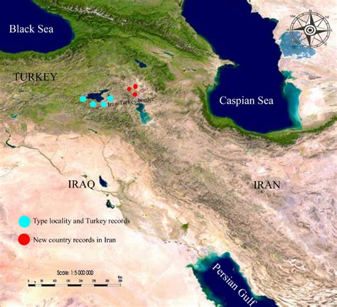 Iran-Turkey map and localities of new records in Iran and the type... | Download Scientific Diagram