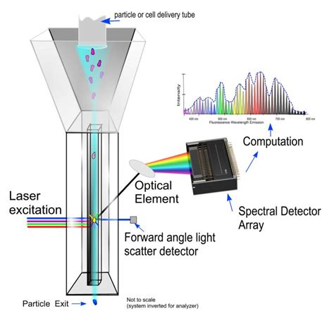 Flow Cytometry Rides Successive Waves of Innovation