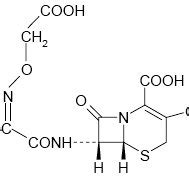 (PDF) UREA BASED INCLUSION COMPOUNDS OF CEFIXIME TRIHYDRATE FOR THE IMPROVEMENT OF ...