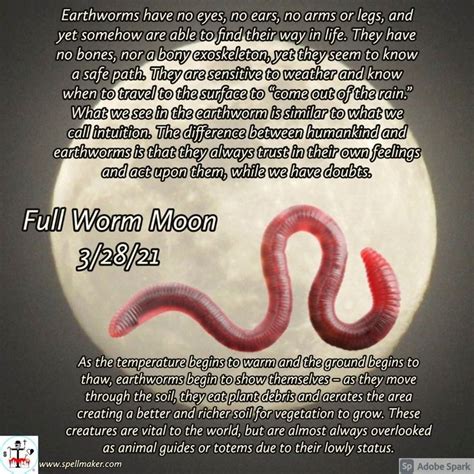 Full Worm Moon! in 2021 | Love spells, Free love spells, Voodoo priestess