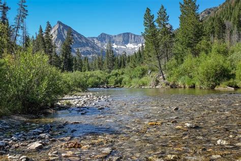 Sawtooth National Forest