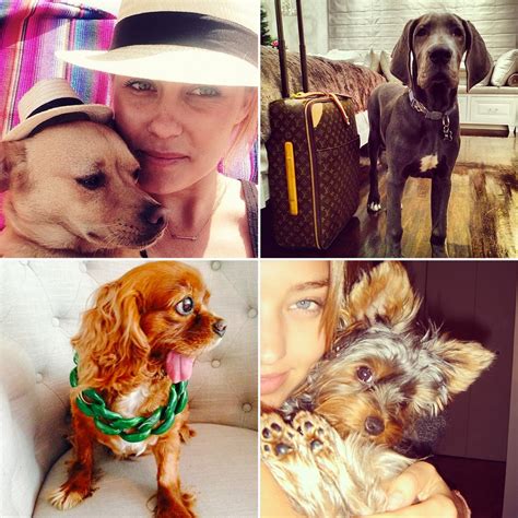 Most Stylish Dogs on Instagram | POPSUGAR Fashion