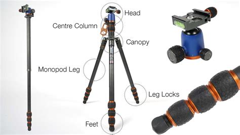 A complete guide to tripod anatomy - Camera Jabber