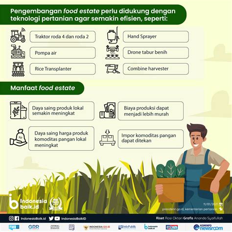 Ketahanan Pangan Terjamin dengan Food Estate | Indonesia Baik