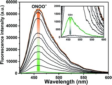 Coumarin-based fluorescent probe for the rapid detection of peroxynitrite ‘AND’ biological ...