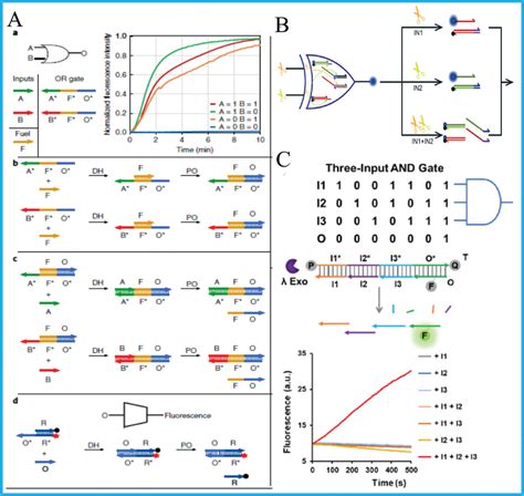 Propelling DNA Computing with Materials’ Power: Recent Advancements in Innovative DNA Logic ...