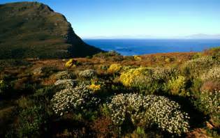 SOUTH AFRICA - ABSA expands Cape Peninsula National Park | WWF