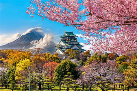 The Perfect Japan 2 Week Itinerary: 10-14 Days in Japan - Savored Journeys