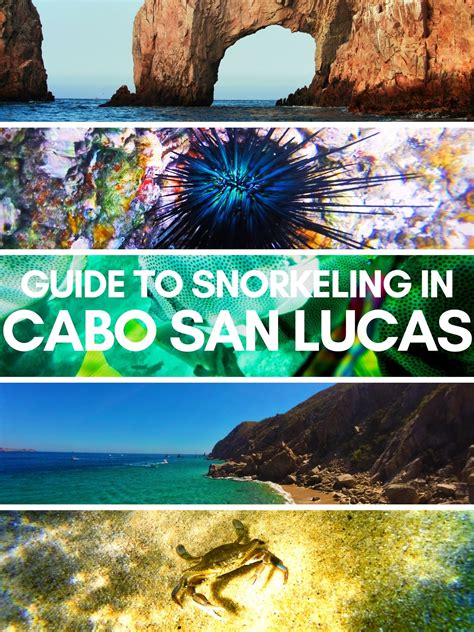 Snorkeling in Cabo San Lucas: maps, tours, beaches and more