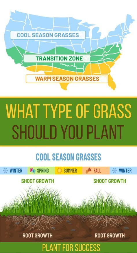 top portion is map of United States showing grass type by region ...