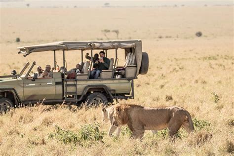 8 Days / 7 Nights – Big Five Highlight Safari - Sani Holidays