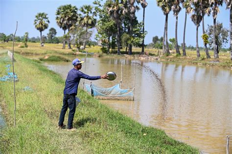 Developing sustainable fish feed for healthy people and planet - CGIAR