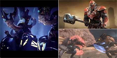 Halo: All Covenant Species, Ranked