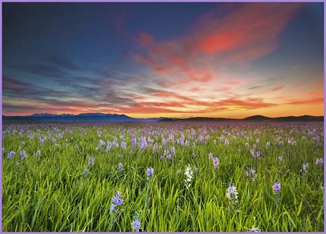 Photo of the Moment: Sunrise Over Camas Prairie, Idaho - Vagabondish