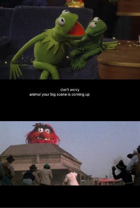 In The Muppet Movie (1979), Kermit assures Animal that his “big scene ...