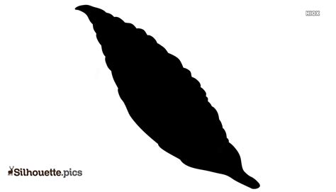 Feather Silhouette Vector Free at Vectorified.com | Collection of ...