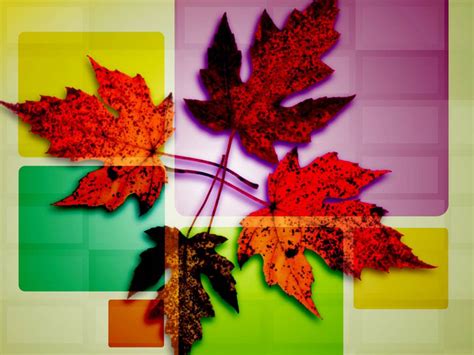 Fall Worship Backgrounds Graphics - Progressive Church Media