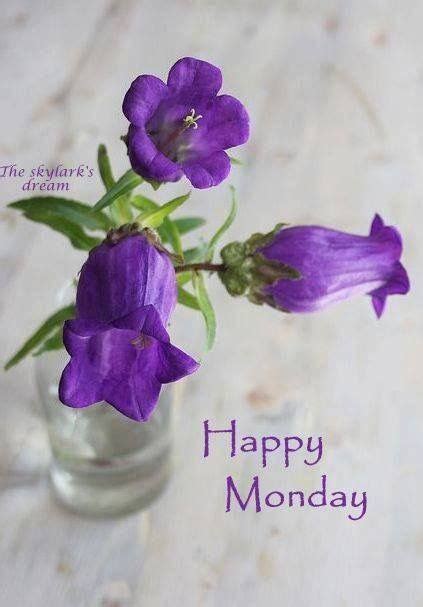 Monday Quote | Beautiful flowers, Flower arrangements, Monday greetings