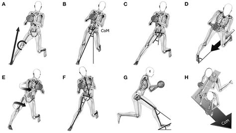 Frontiers | Athletes with high knee abduction moments show increased vertical center of mass ...